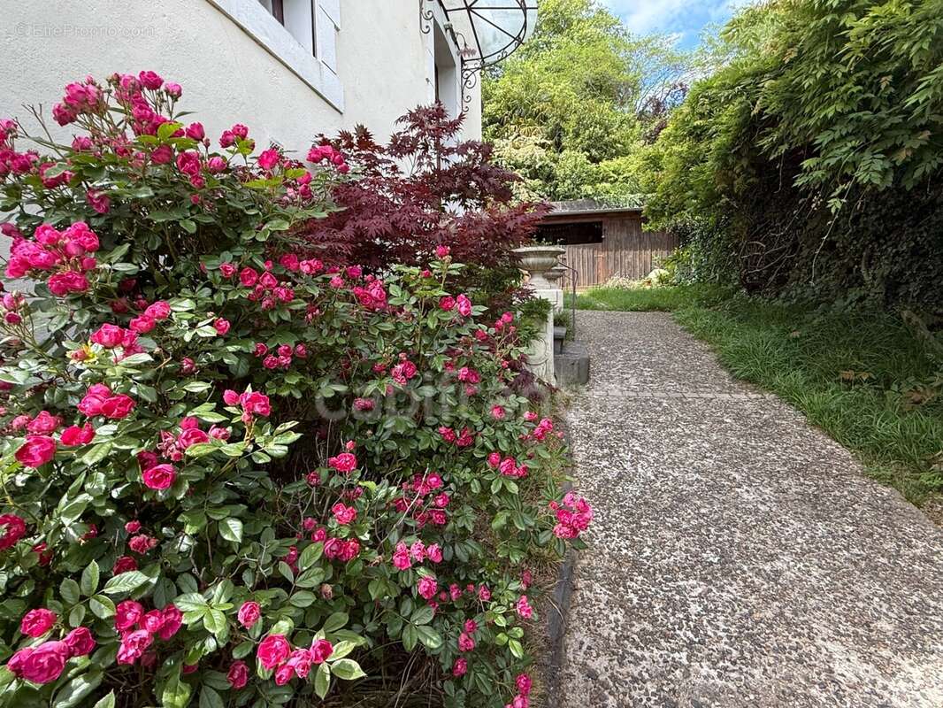 Demeure de prestige face aux sanctuaires de lourdes - photo 2