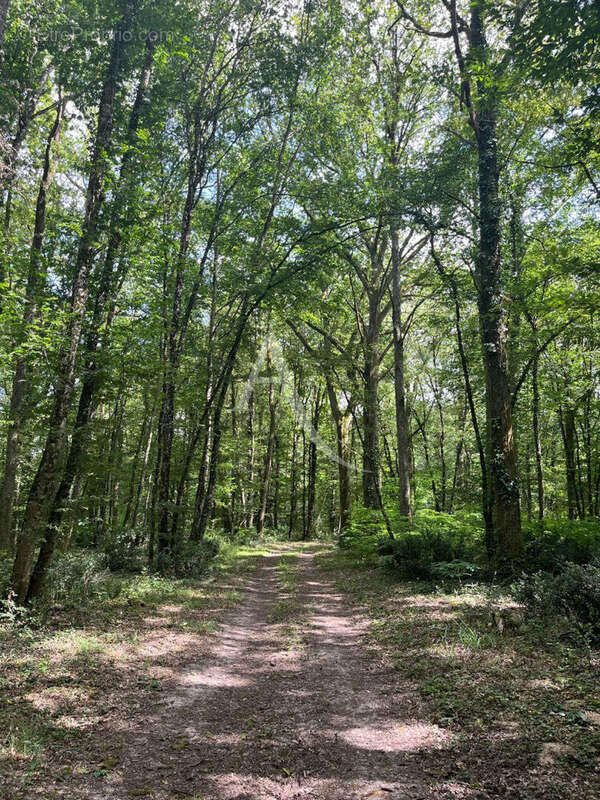 Maison à MONTHOU-SUR-CHER