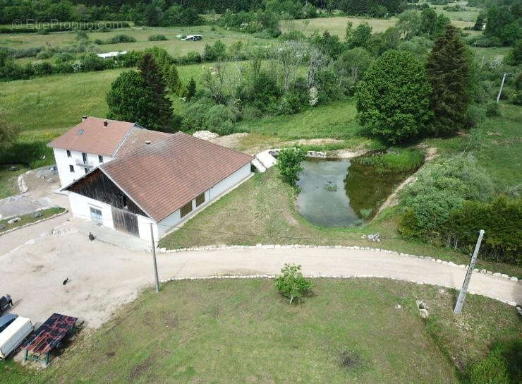 Maison à HAUTEVILLE-LOMPNES