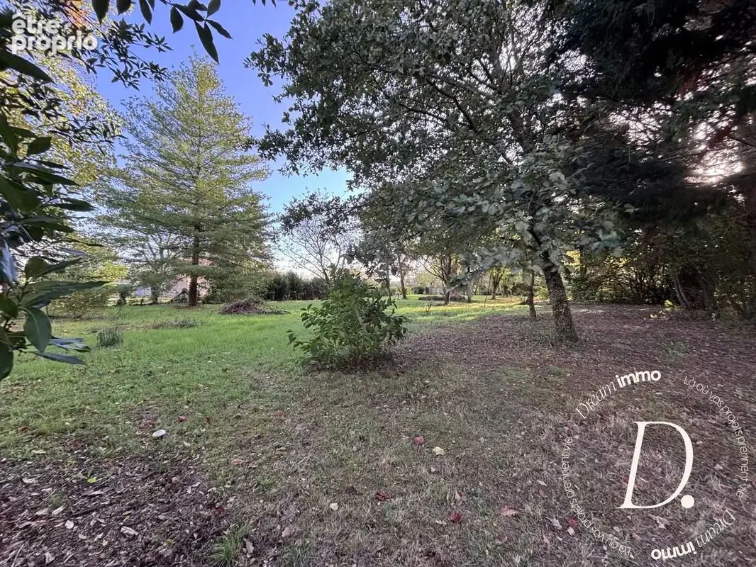 Terrain 2 500 m² à vendre à Taller (40260) - photo 1