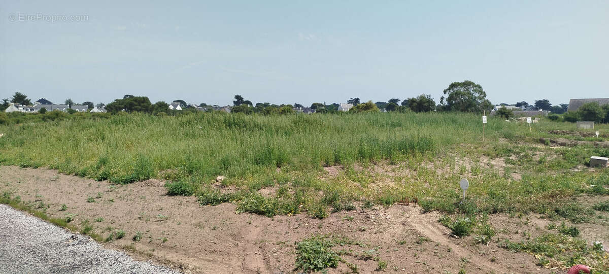 Terrain à CARNAC