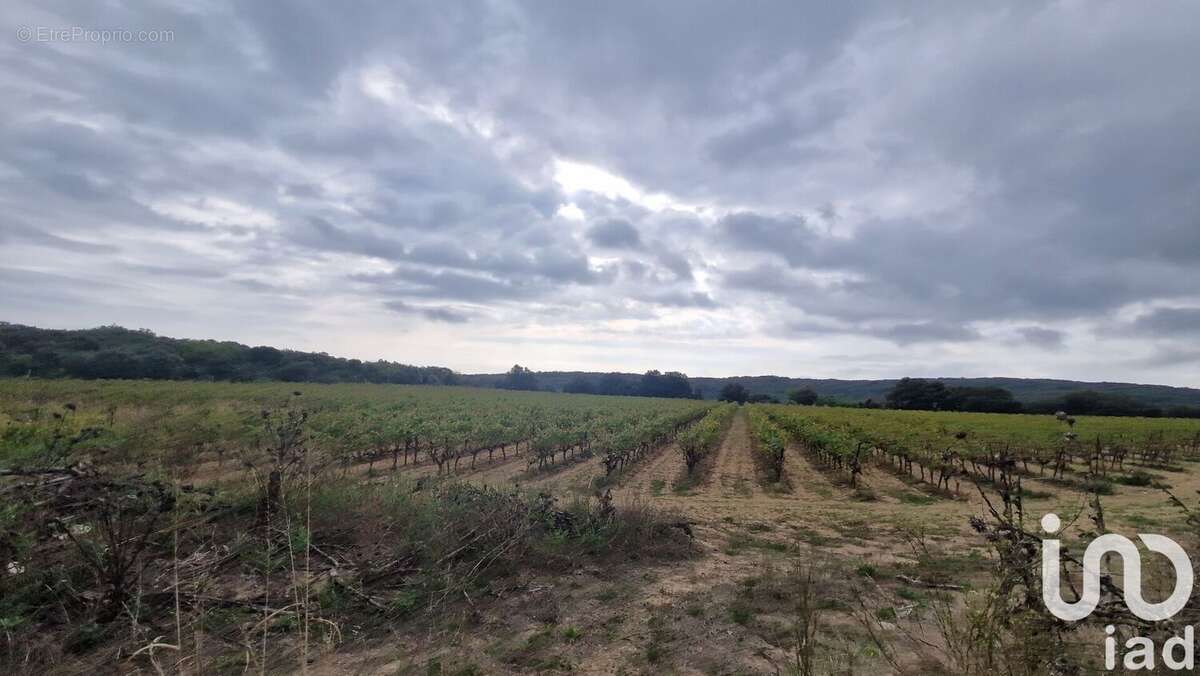 Photo 2 - Terrain à LEDENON