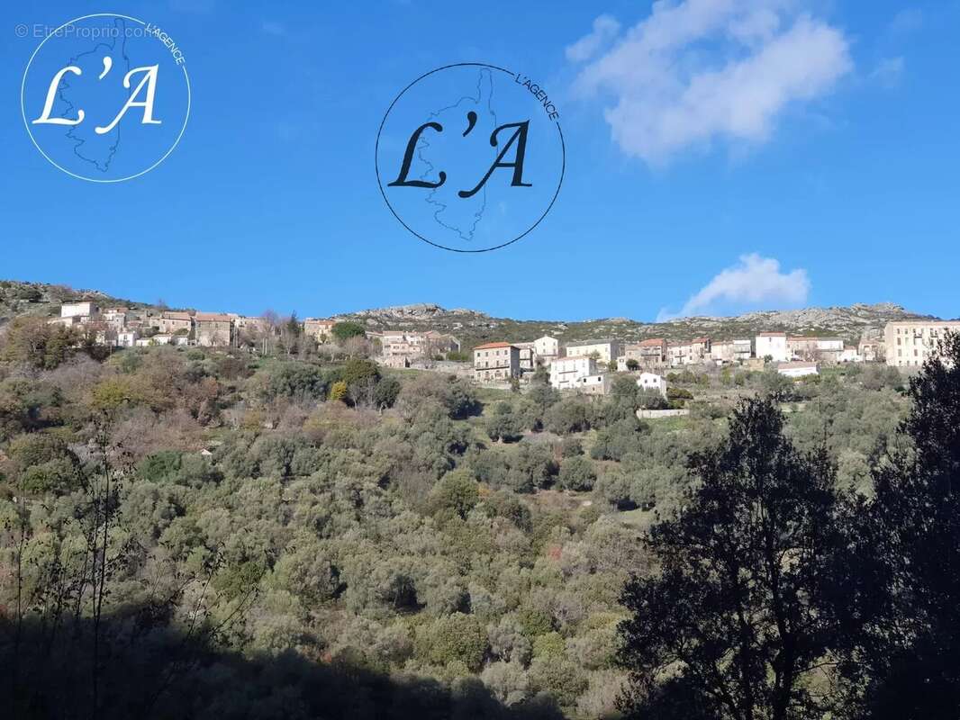 Maison à SANTO-PIETRO-DI-TENDA