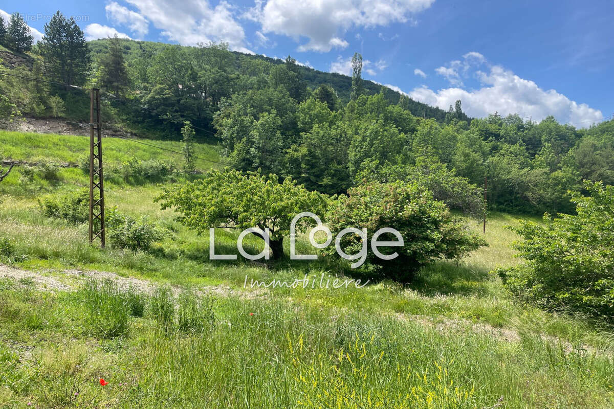 Terrain 7462 m² à Rabou  - photo 5