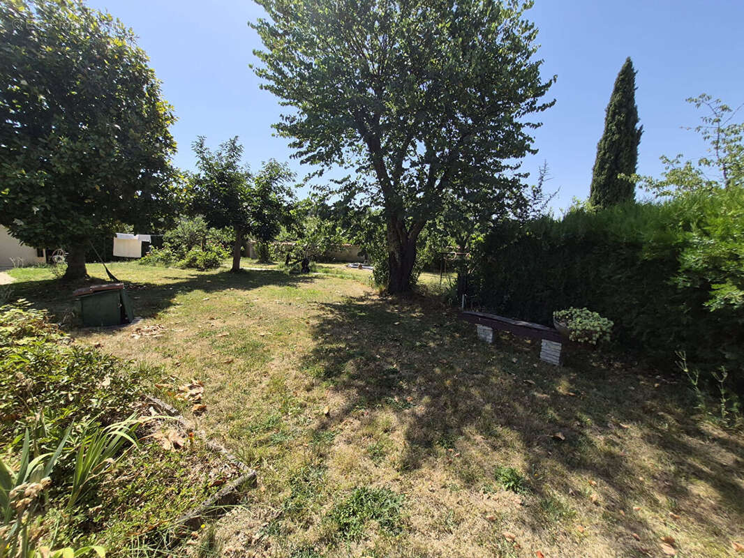 PIBRAC DOMAINE DU BERNET Grande Maison familiale sur 2250 m² de terrain - photo 8
