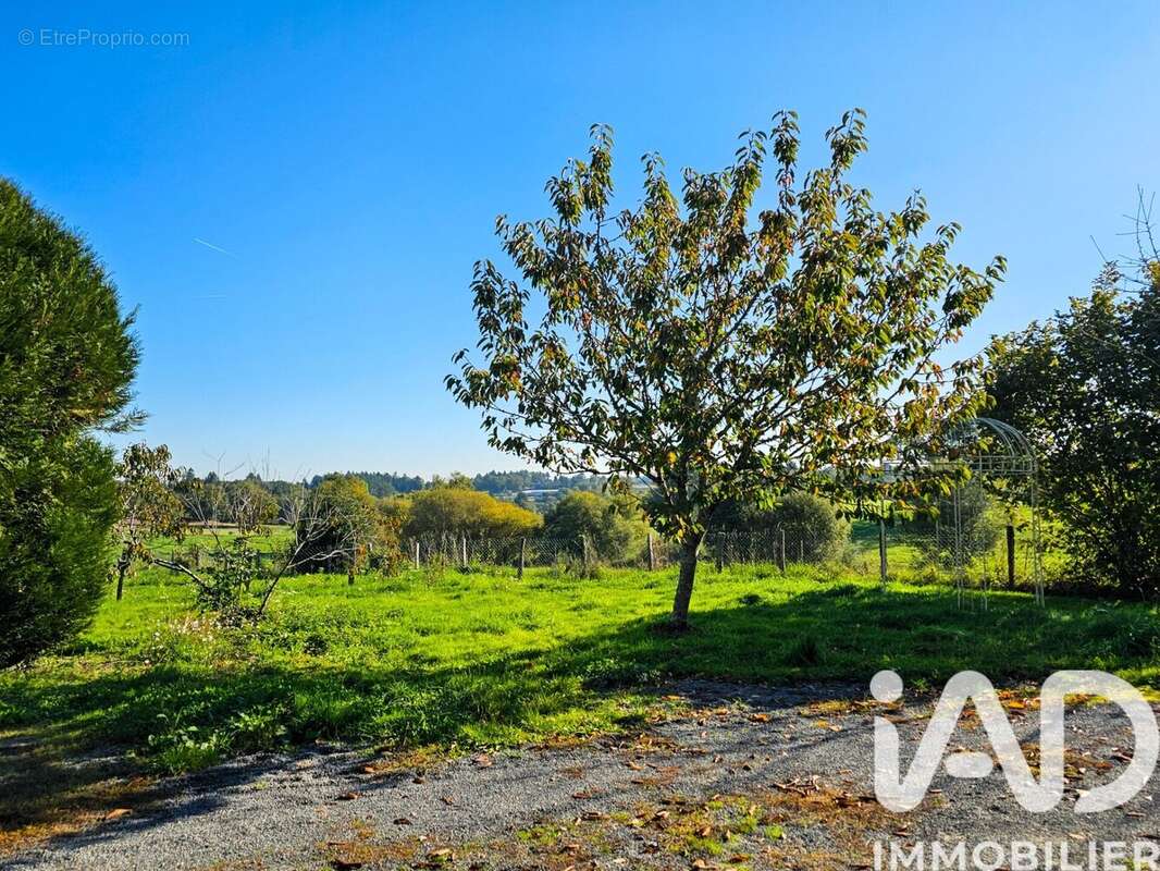 Photo 5 - Maison à MAISONNAIS-SUR-TARDOIRE