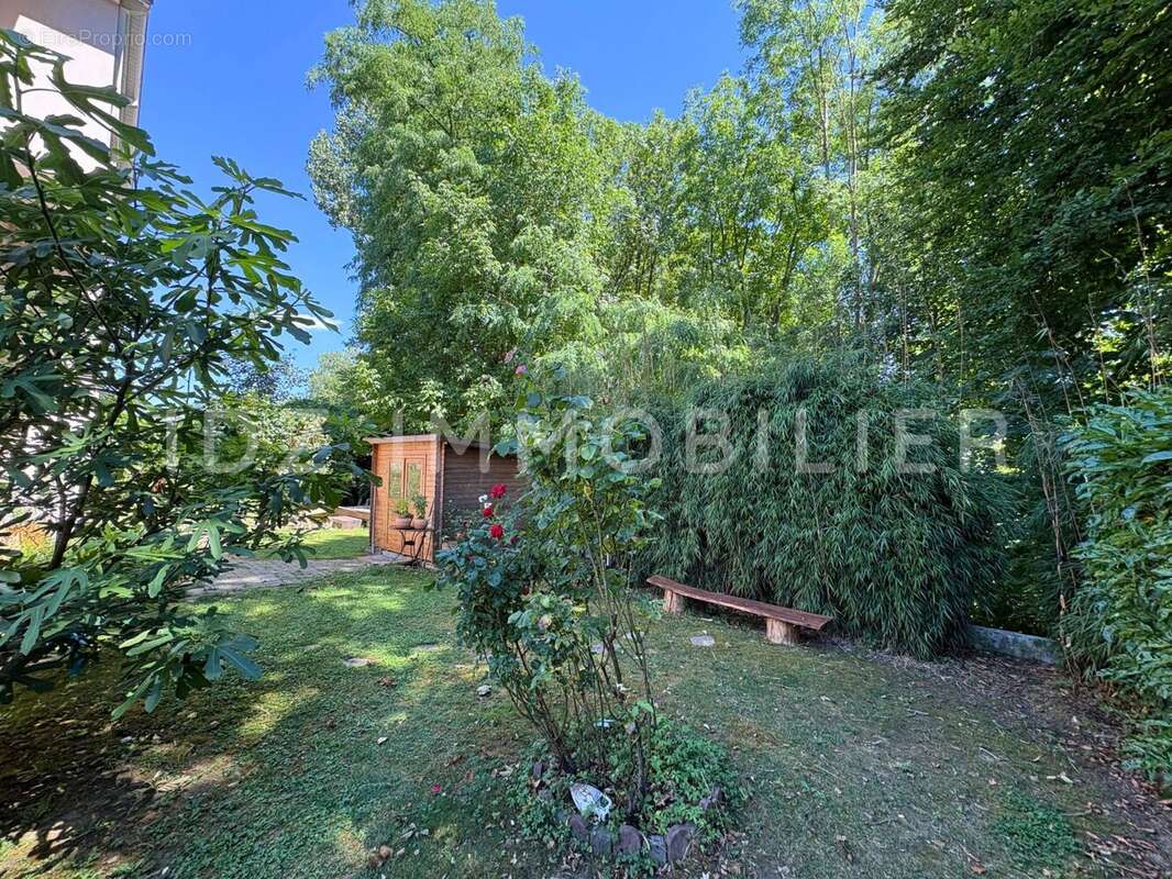 Appartement 88 m² à Ranspach-Le-Bas  - photo 5