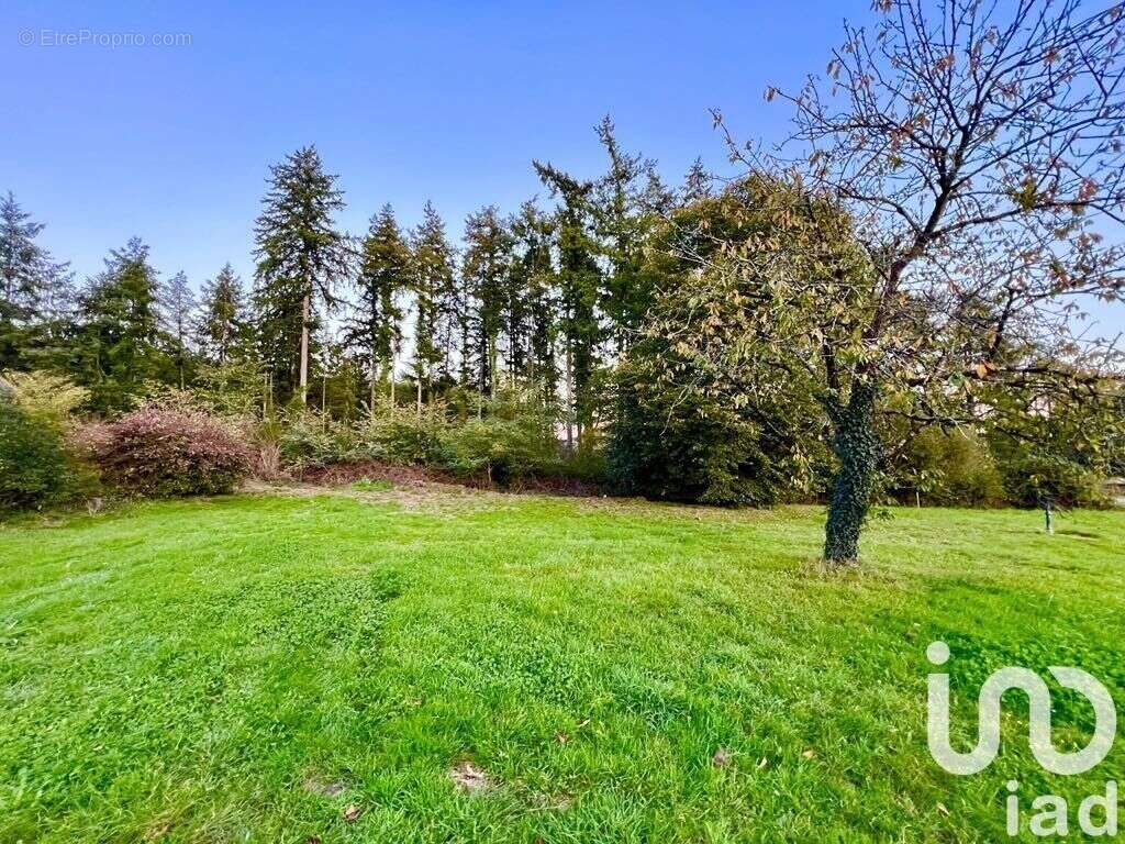 Photo 2 - Terrain à LA CHAPELLE-BOUEXIC