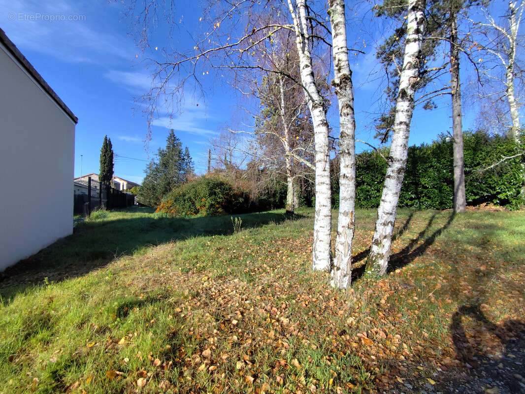 Terrain à SAINT-BENOIT