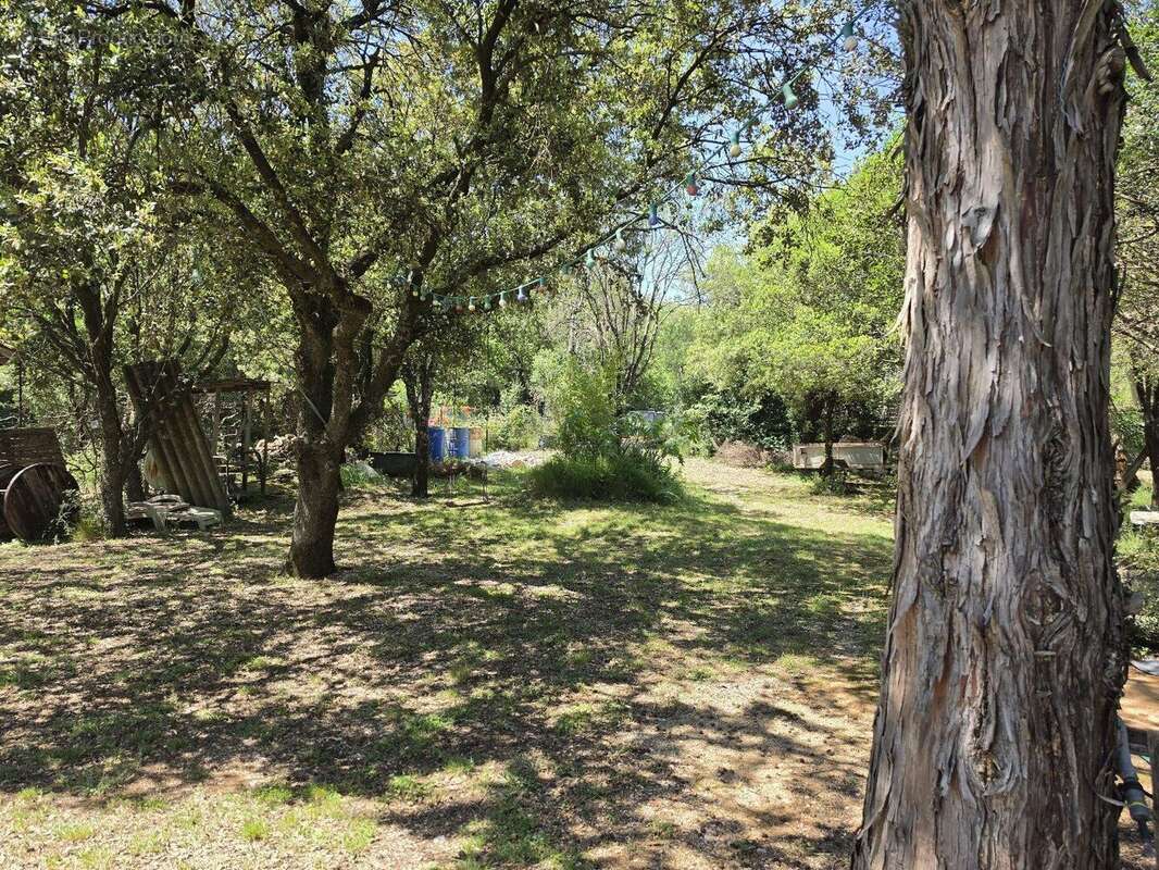 Photo 3 - Maison à MONTPELLIER