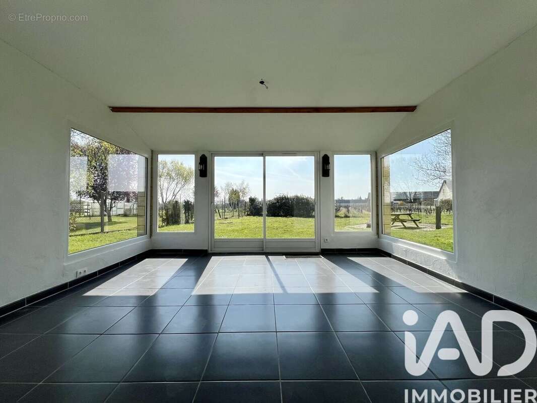 Photo 5 - Maison à BOURGUEIL