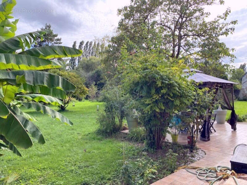 Maison à THORIGNY-SUR-OREUSE