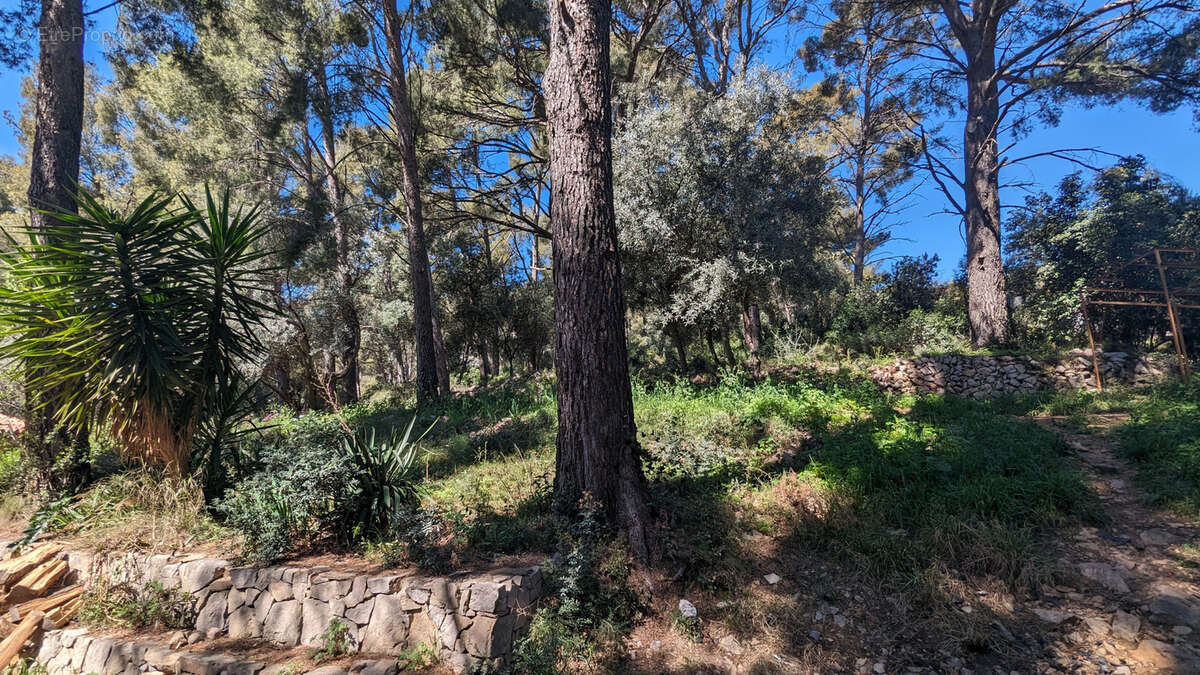 Maison à LE REVEST-LES-EAUX