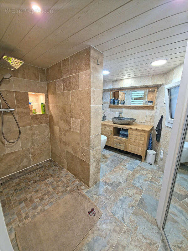 Maison à SAINT-ALBAN-DE-ROCHE