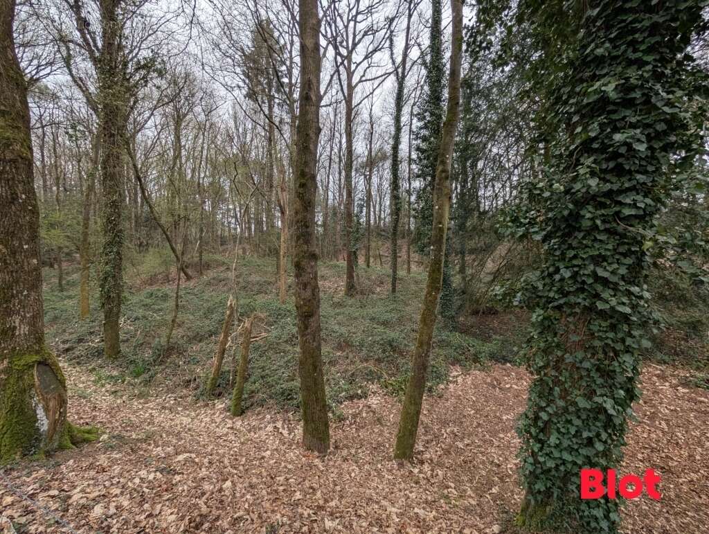 Terrain à PLECHATEL