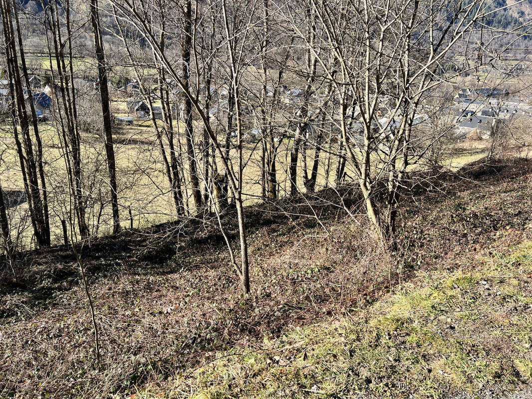 Terrain à LOUDENVIELLE