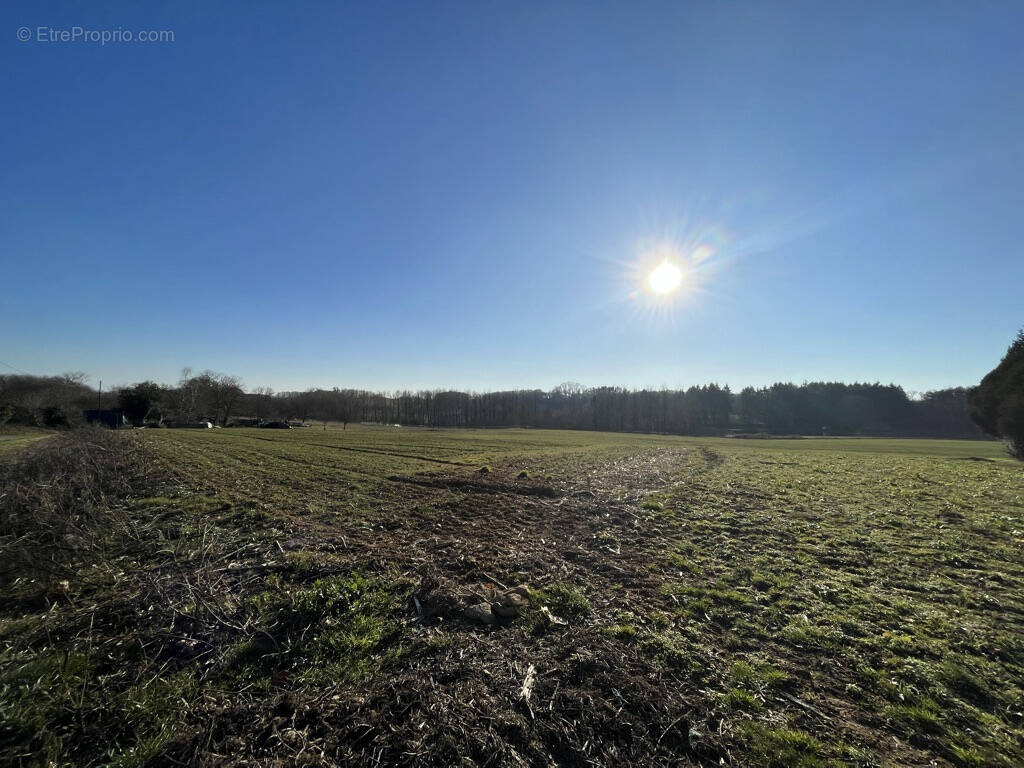 Terrain à VIGNOLS