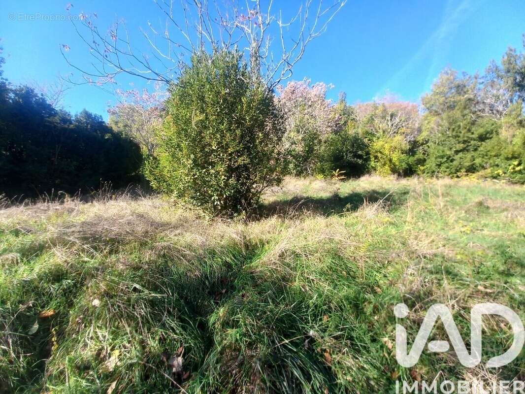 Photo 6 - Terrain à AGEN