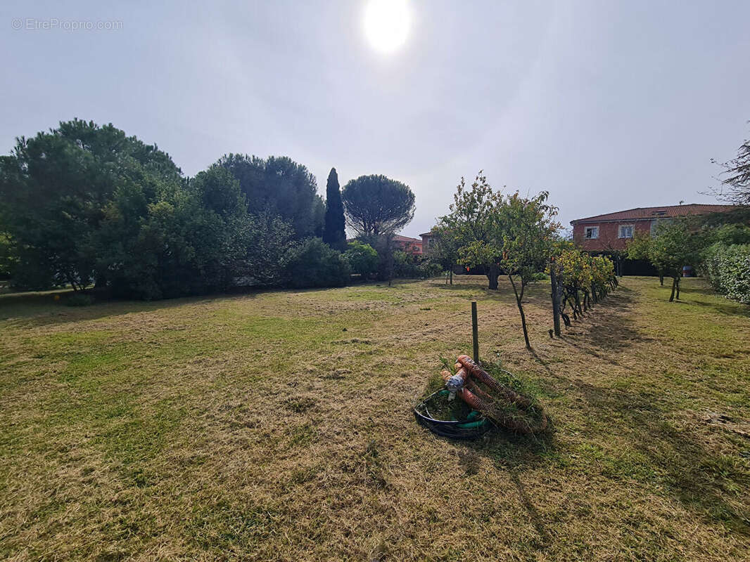 Terrain  de  1495m² cloture et arbore - photo 3
