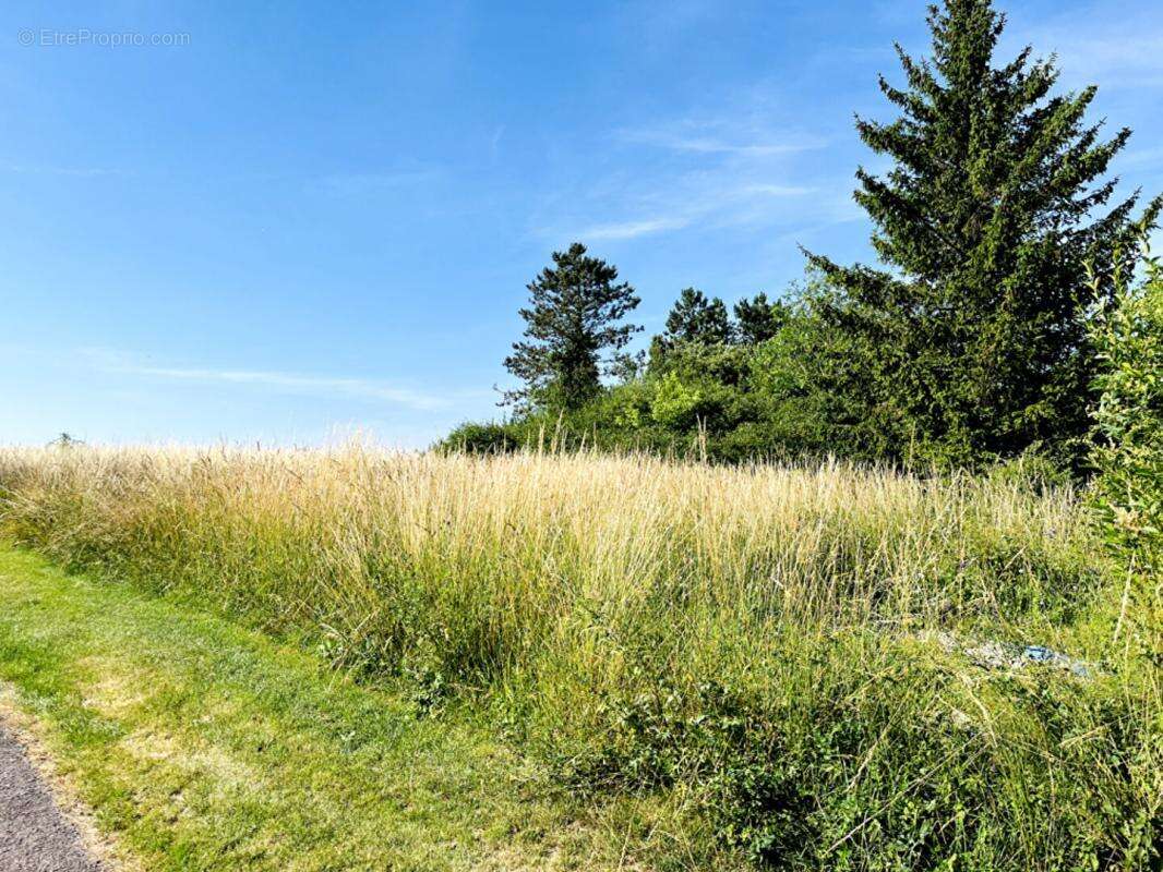 Terrain à LES GRANDES-CHAPELLES