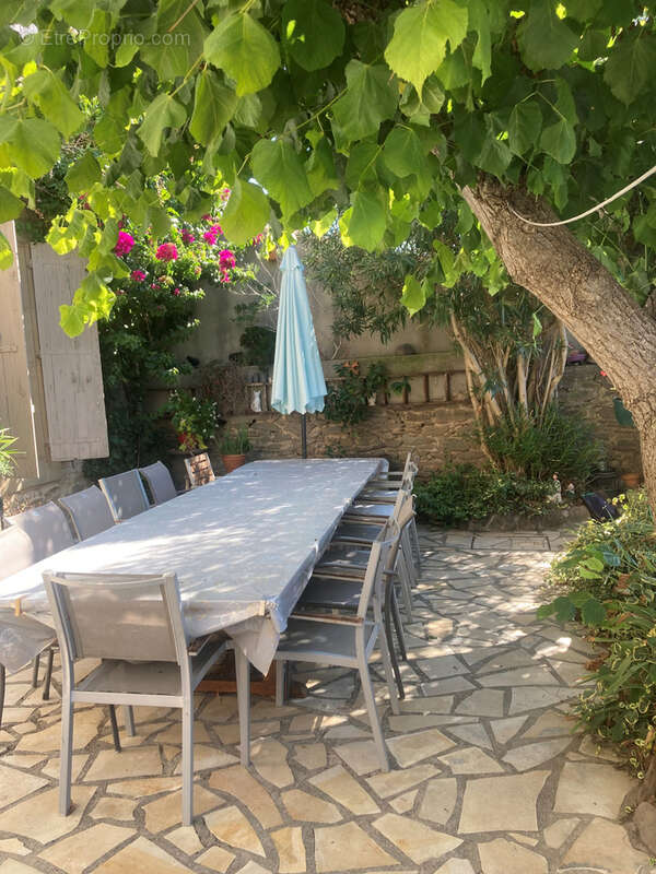 Minervois, 20mn Carcassonne Est, maison de maitre 8 chambres avec jardin et terrasse. - photo 13
