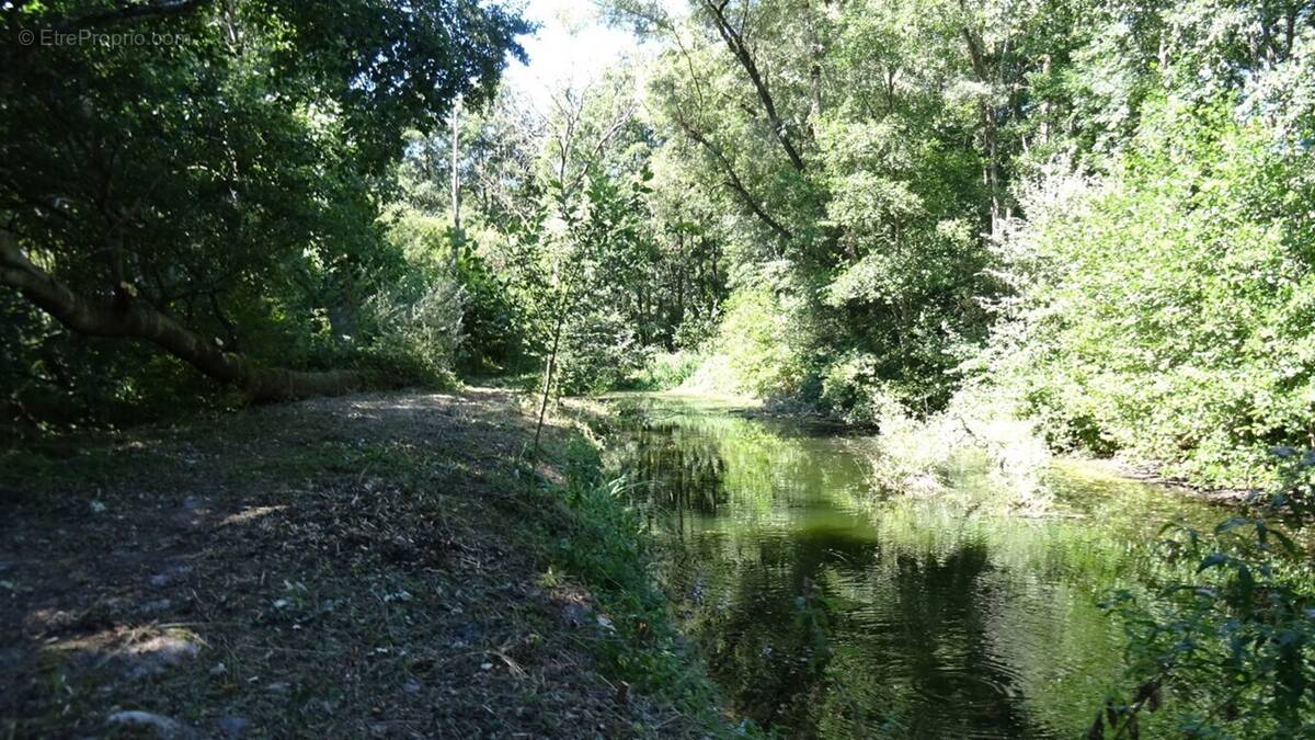 Terrain à VILLE-SUR-ANCRE