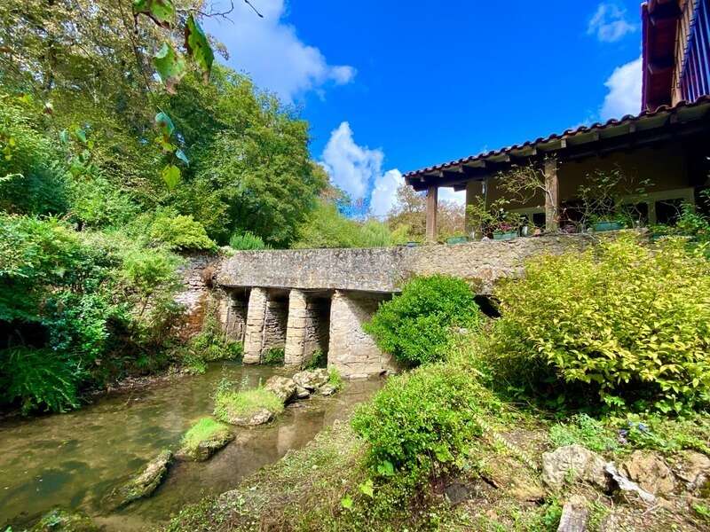 Magnifique Moulin rénové en totalité (DPE D) avec gîte indépendant sur terrain de 3,5HA arboré sans vis à vis BOUGUE (40) - photo 3