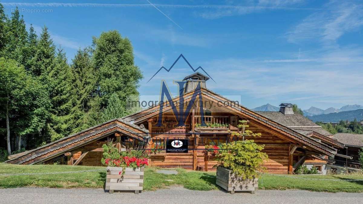 Commerce à ARACHES-LA-FRASSE