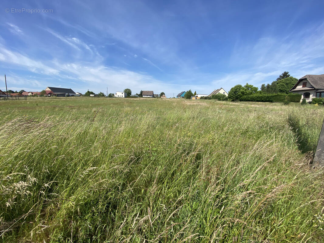 Terrain à PHALSBOURG