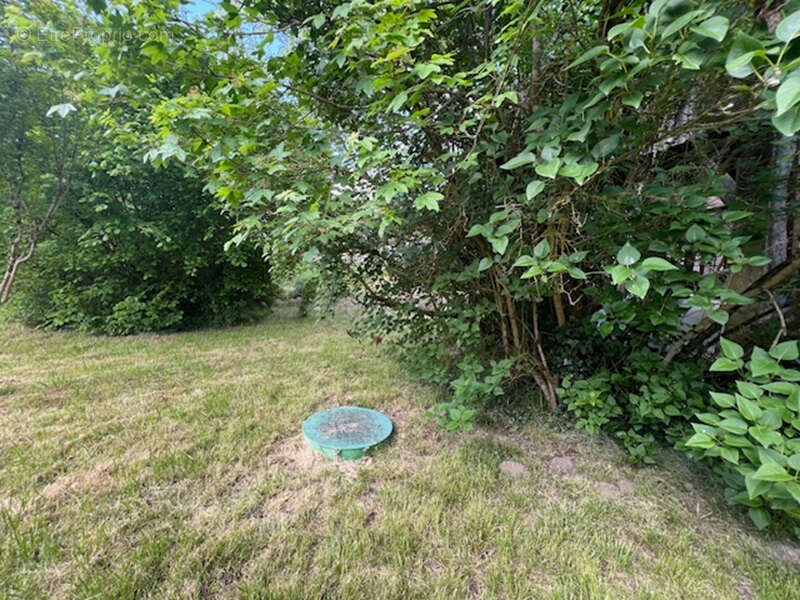Maison 4 pièces avec jardin -  Buzet Sur Baise - photo 2