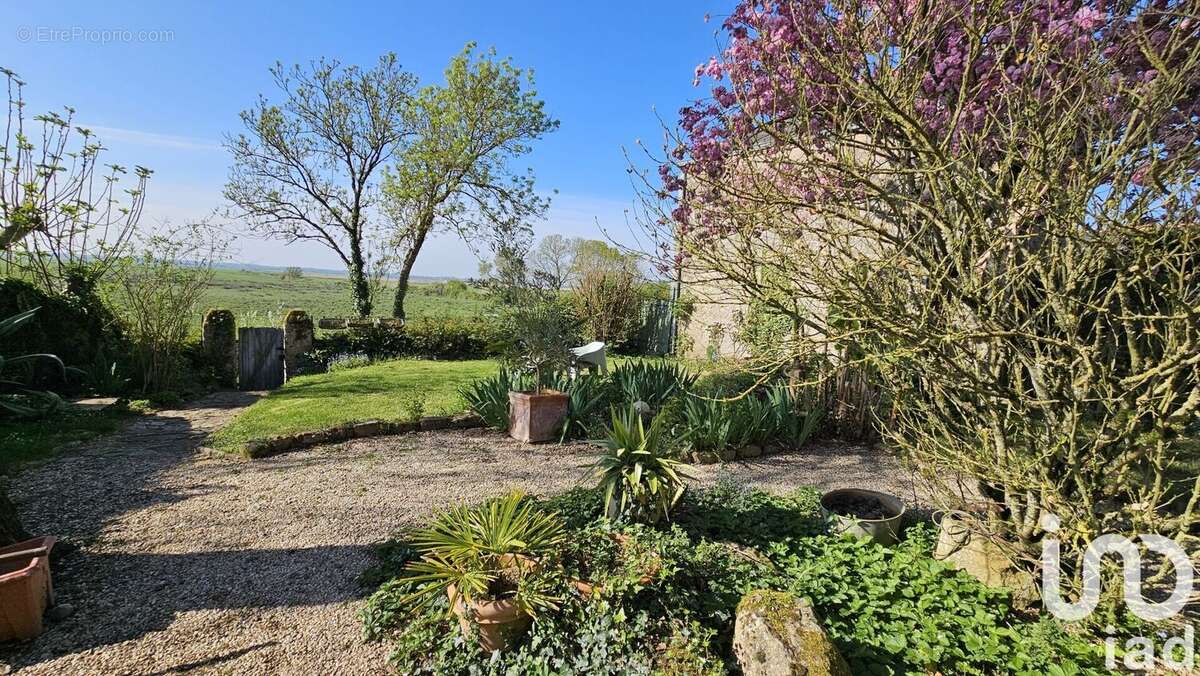 Photo 2 - Maison à LAVAU-SUR-LOIRE