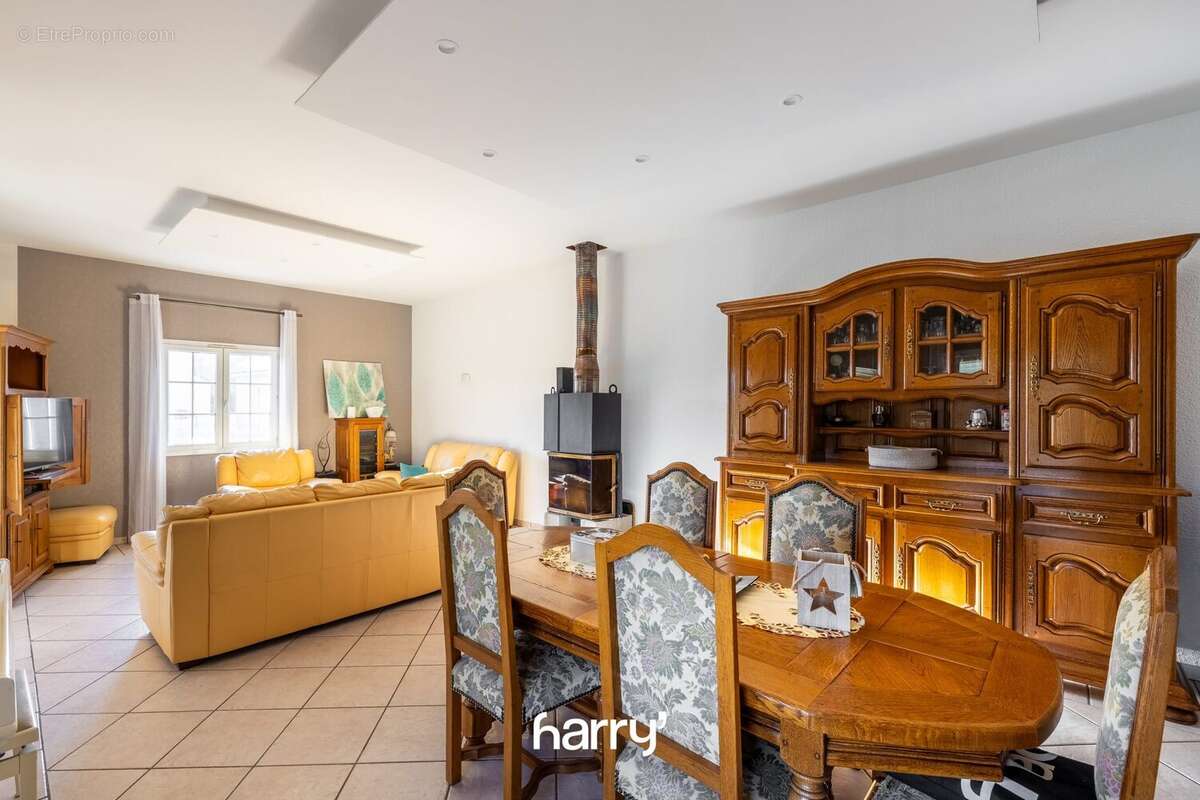Maison 350 m² à Jouhe  - photo 5