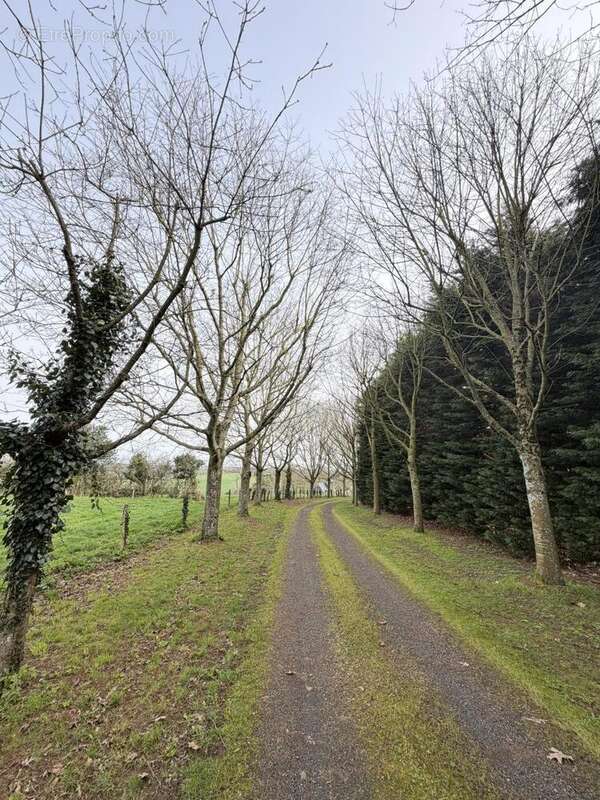 Maison à LE PUISET-DORE