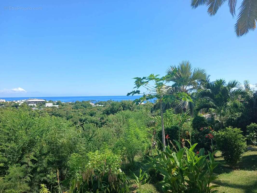 Maison à LA POSSESSION