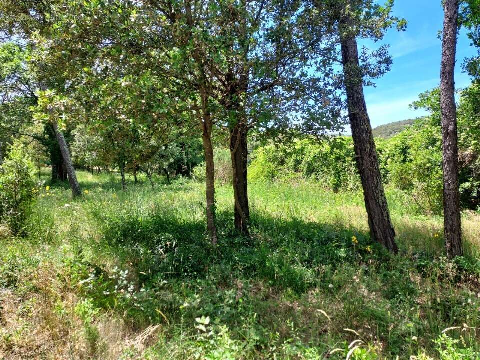 Terrain 655 m² à Gareoult  - photo 4