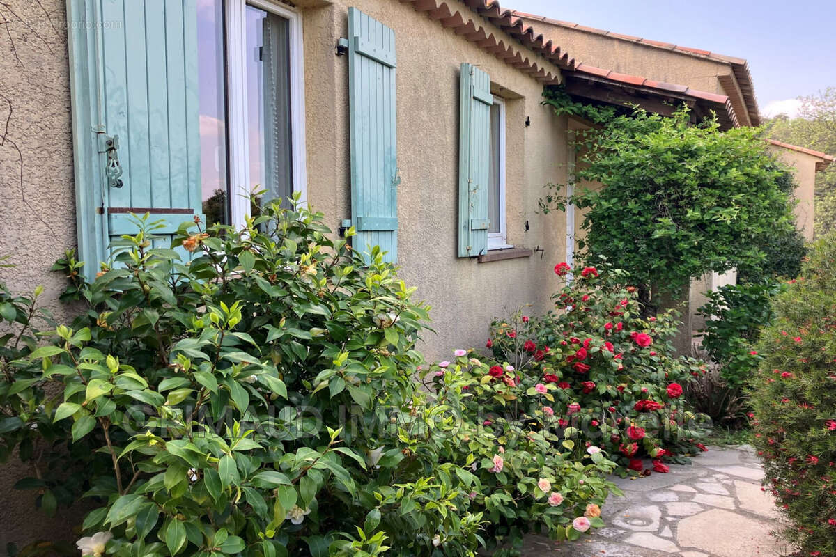 Maison à PLAN-DE-LA-TOUR