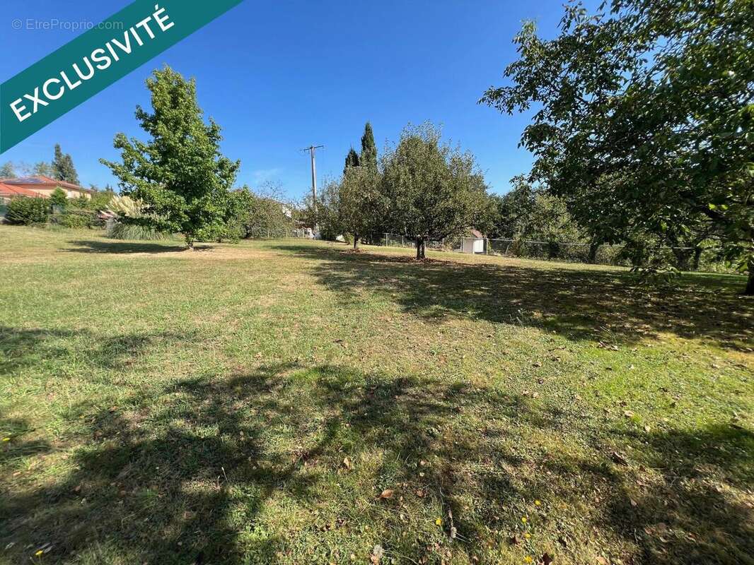 Photo 3 - Terrain à MOIDIEU-DETOURBE