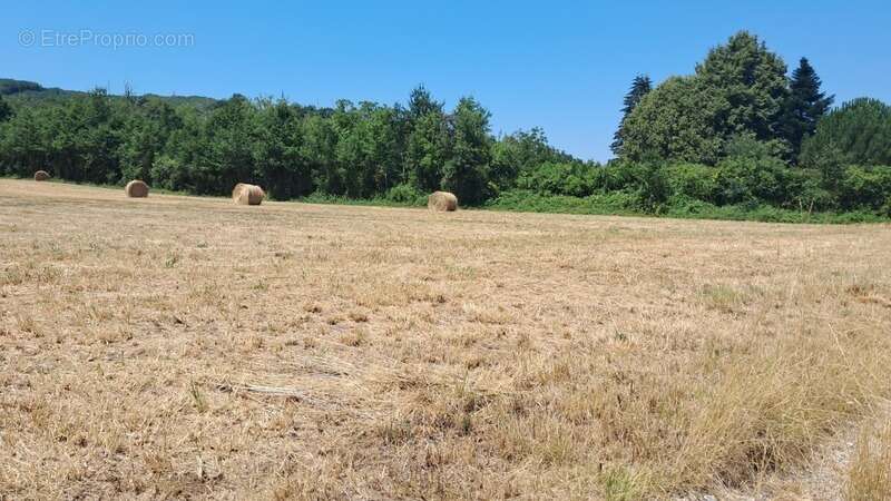 Terrain à vendre de 1 800,00 m² LANZAC (46) - photo 10