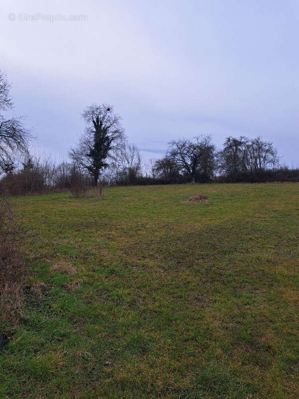 Terrain à NOVION-PORCIEN