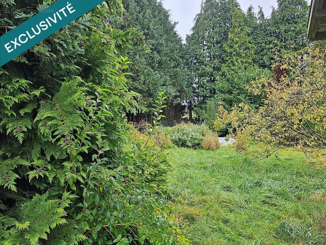 Photo 2 - Terrain à HUSSIGNY-GODBRANGE