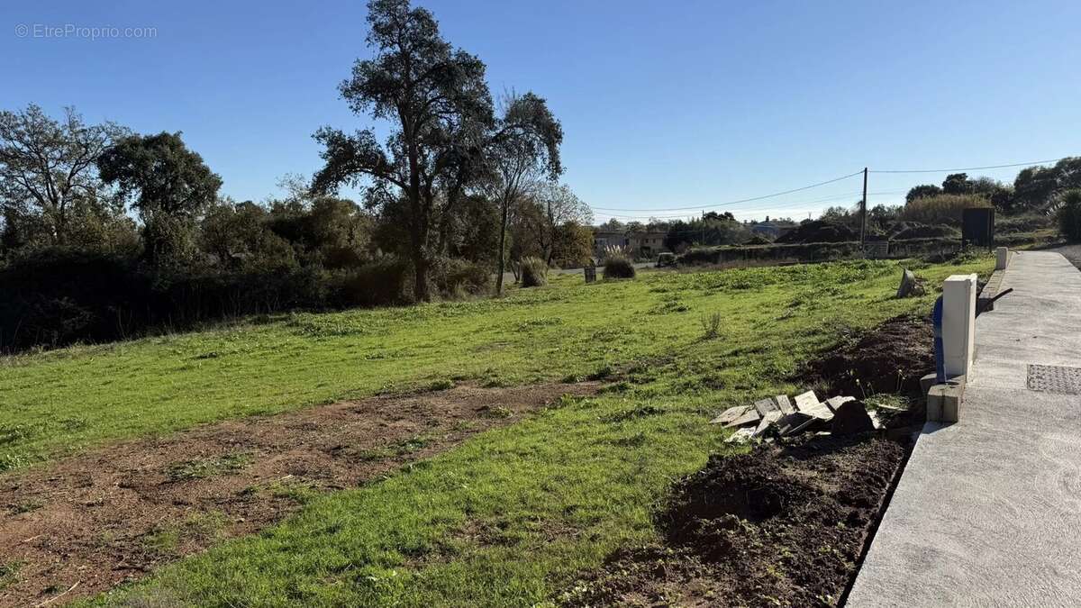 Terrain à POGGIO-MEZZANA