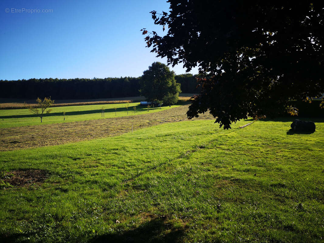 Terrain à LOBSANN