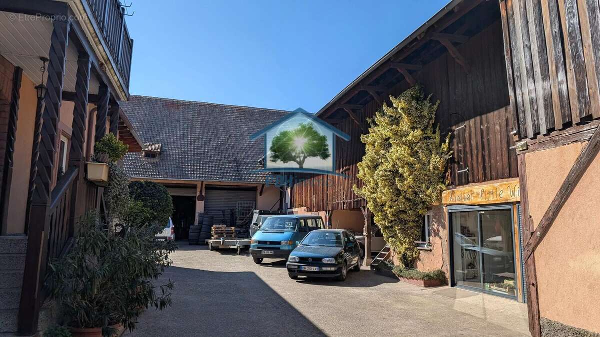 STOTZHEIM (67) -  Maison 11 pièces  250 m², studio indépendant, atelier  et plus de 800m2 de dépendances - photo 5