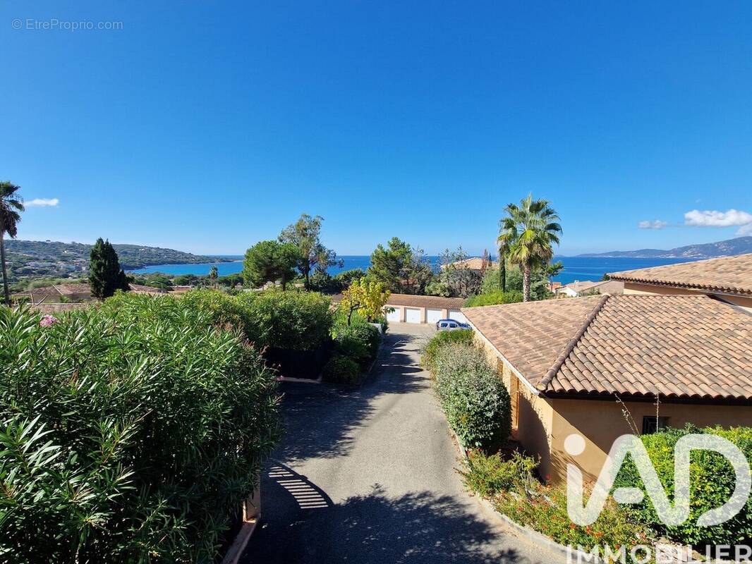 Photo 1 - Appartement à PIETROSELLA