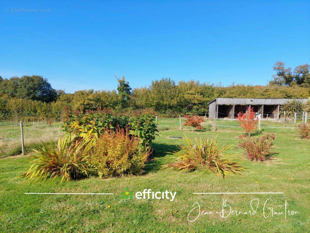 Maison à BELLE-ISLE-EN-TERRE