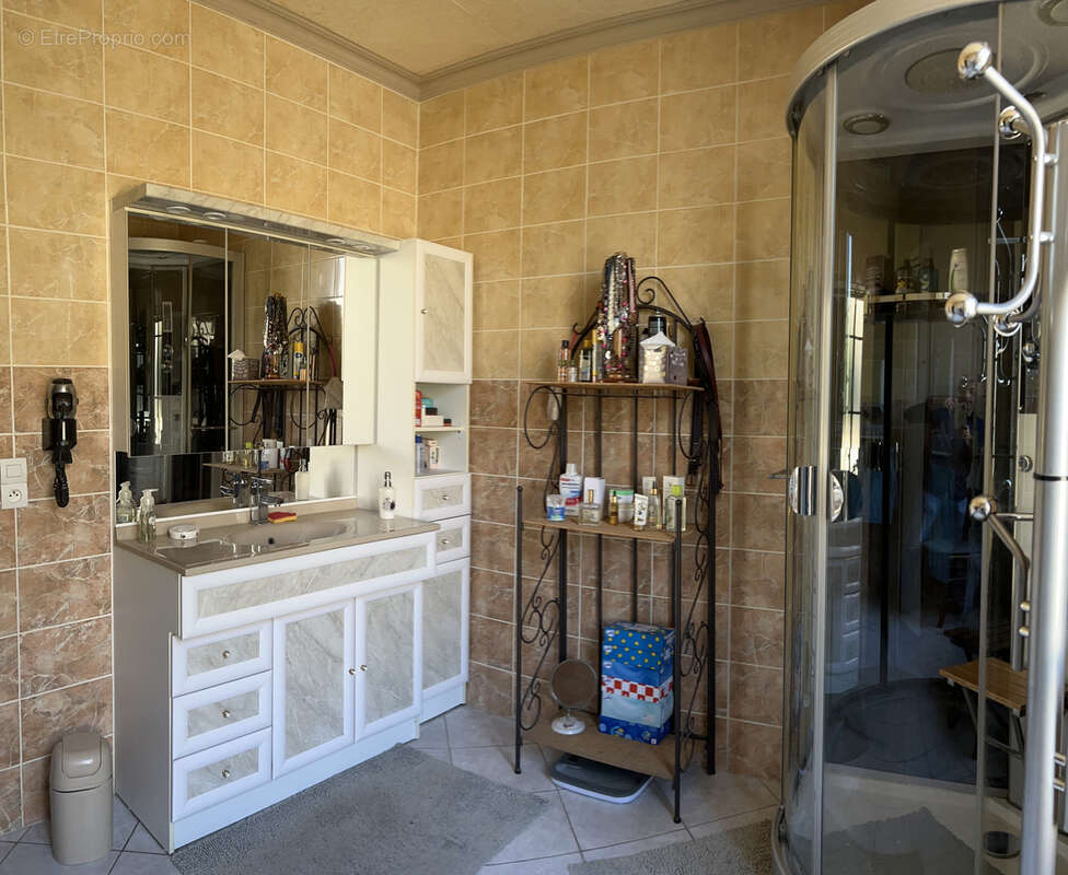 Maison à COLLEMIERS