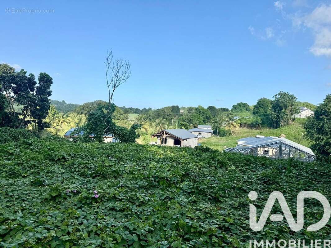 Photo 4 - Terrain à LES ABYMES