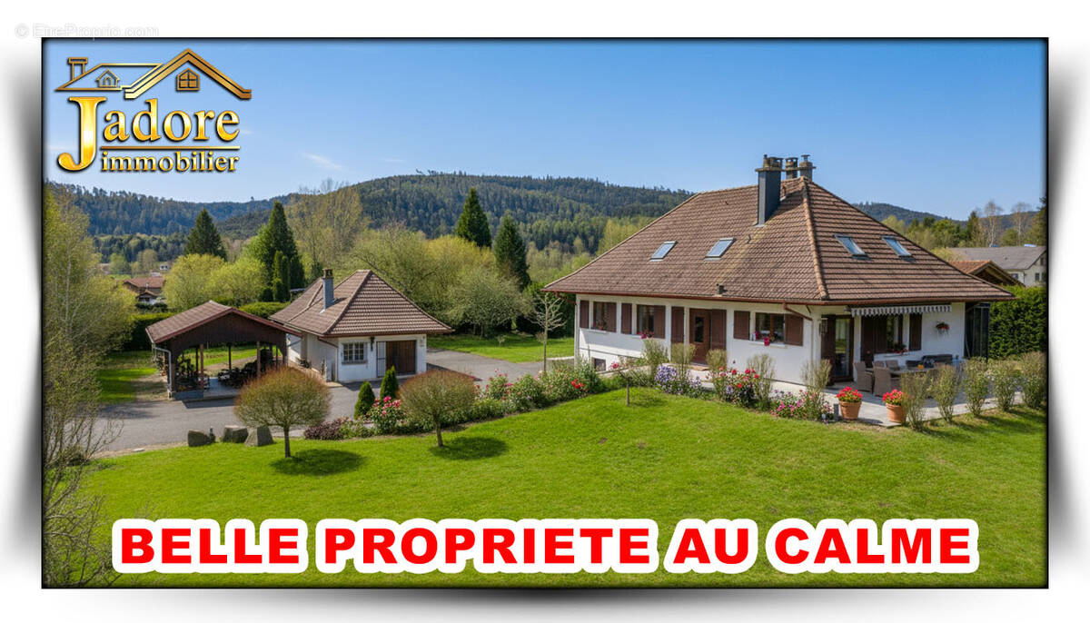 Maison à SAINT-MICHEL-SUR-MEURTHE
