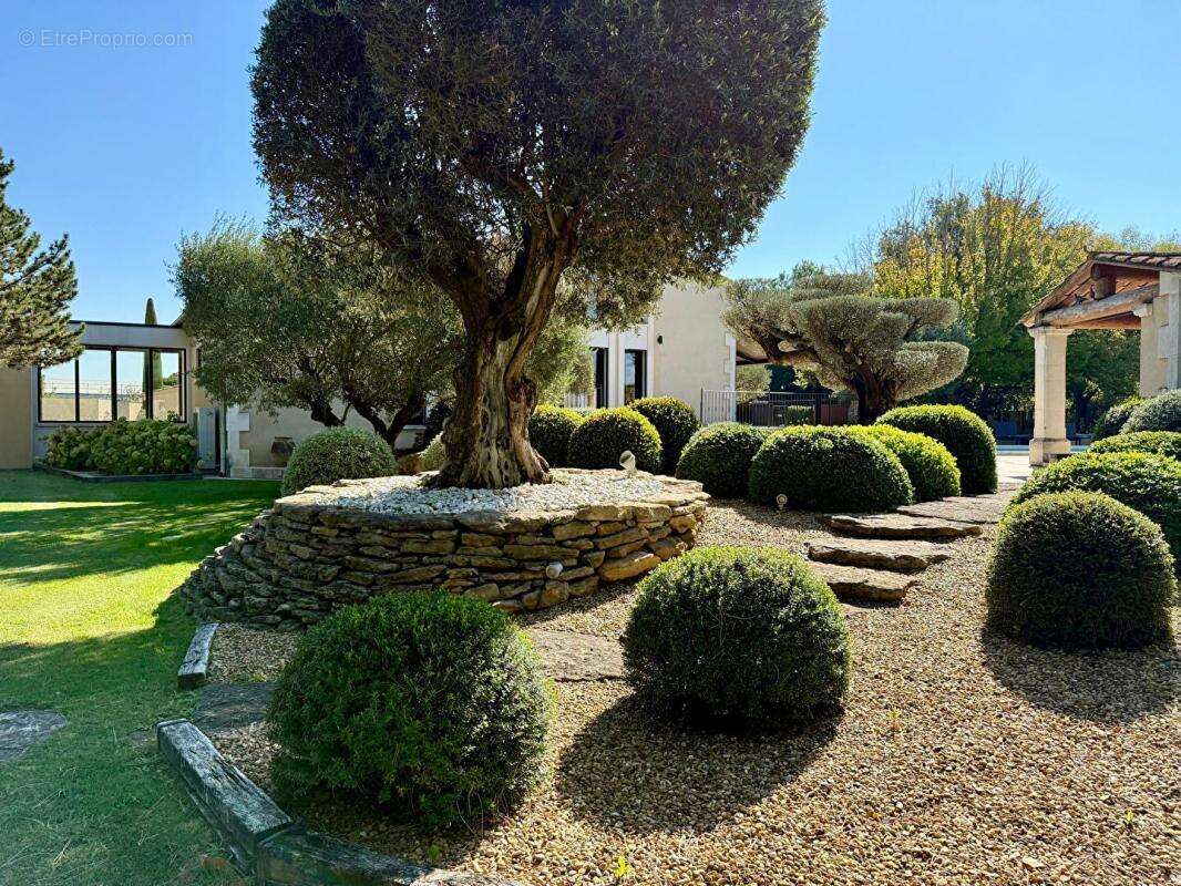 Maison à SAINT-REMY-DE-PROVENCE