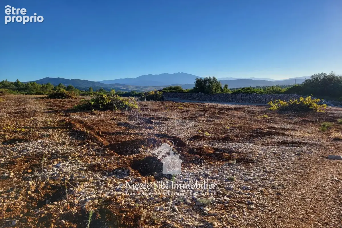 Terrain 11 810 m² à vendre à Tautavel (66720) - photo 3